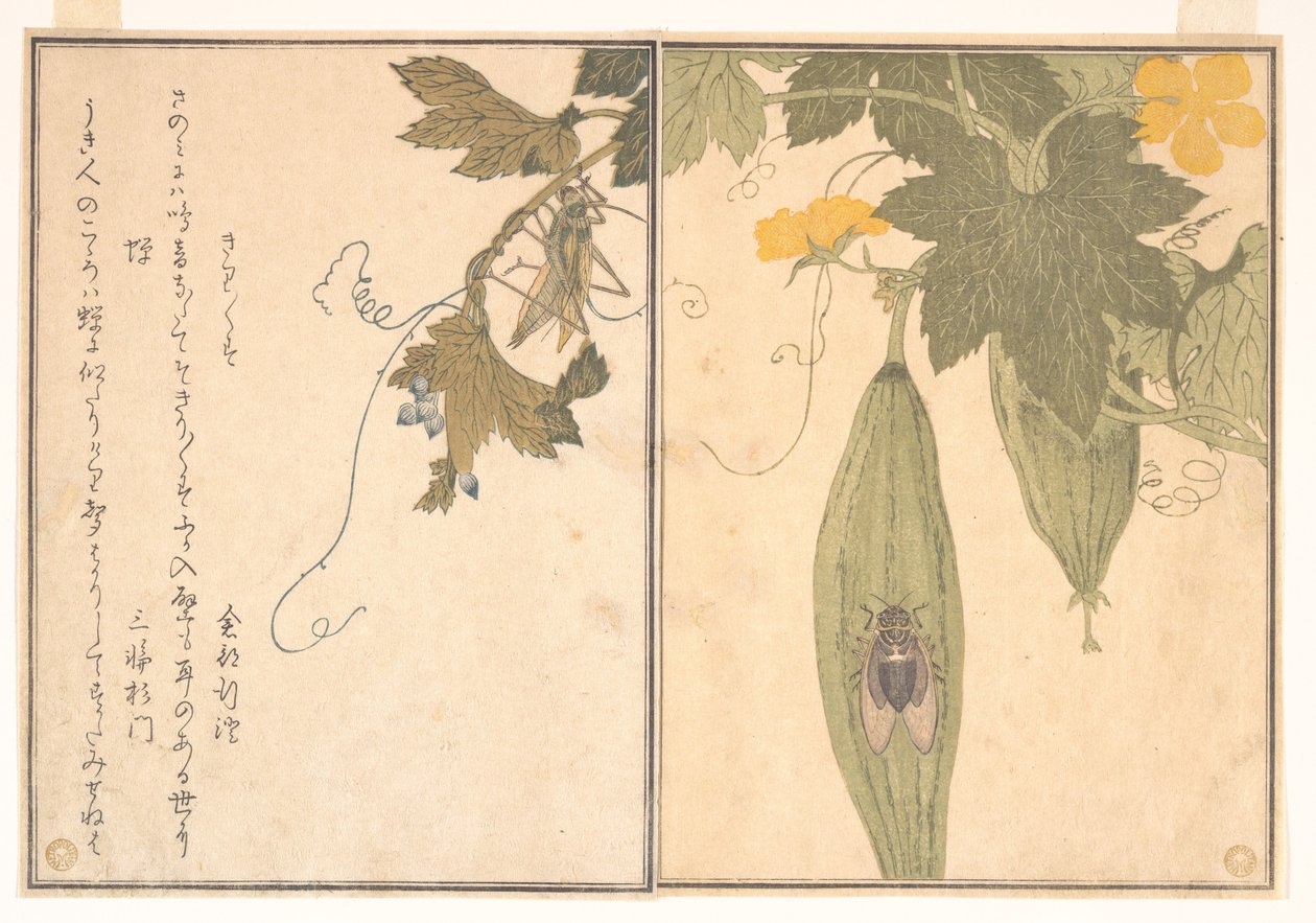 Sauterelle (Kirigirisu) ; cigale (Semi), du Livre illustré des créatures rampantes (Ehon mushi erami) - Kitagawa Utamaro
