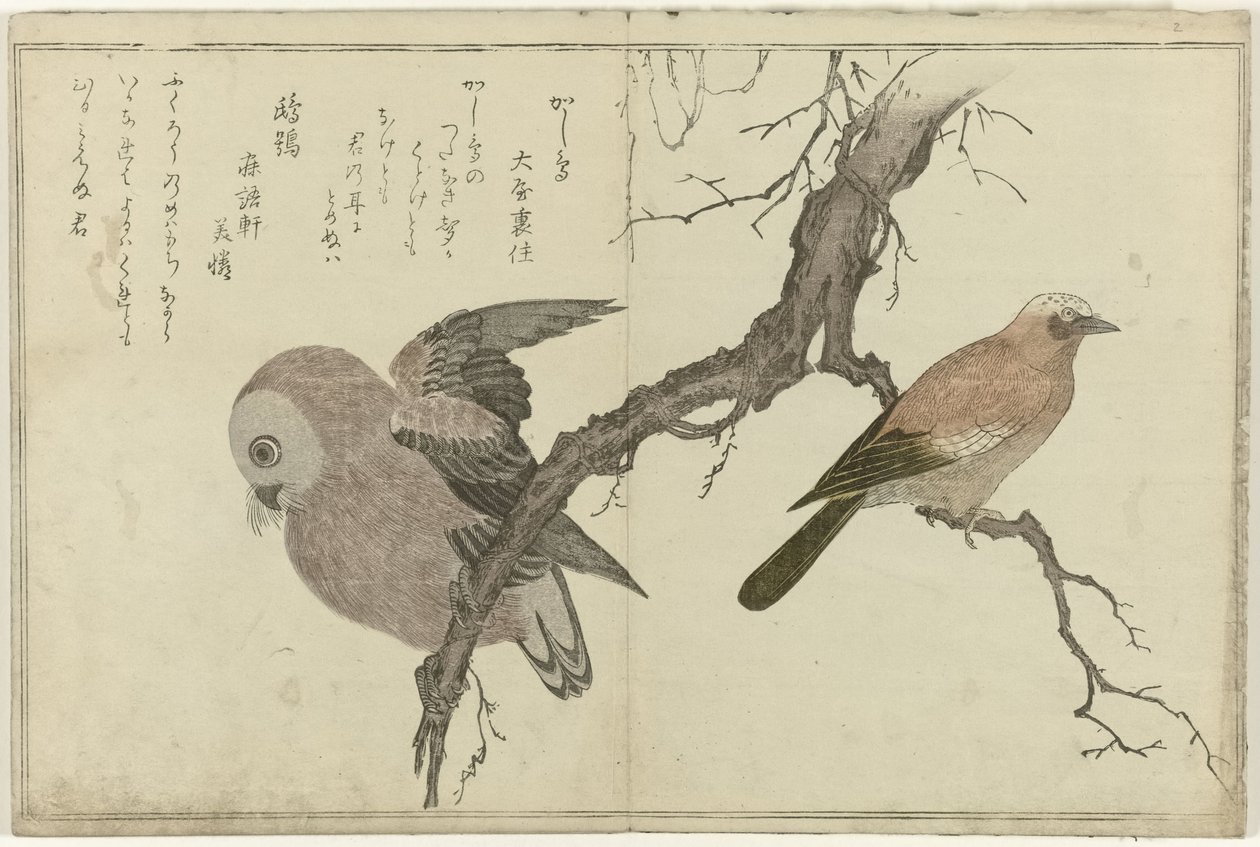 Geai et hibou - Kitagawa Utamaro