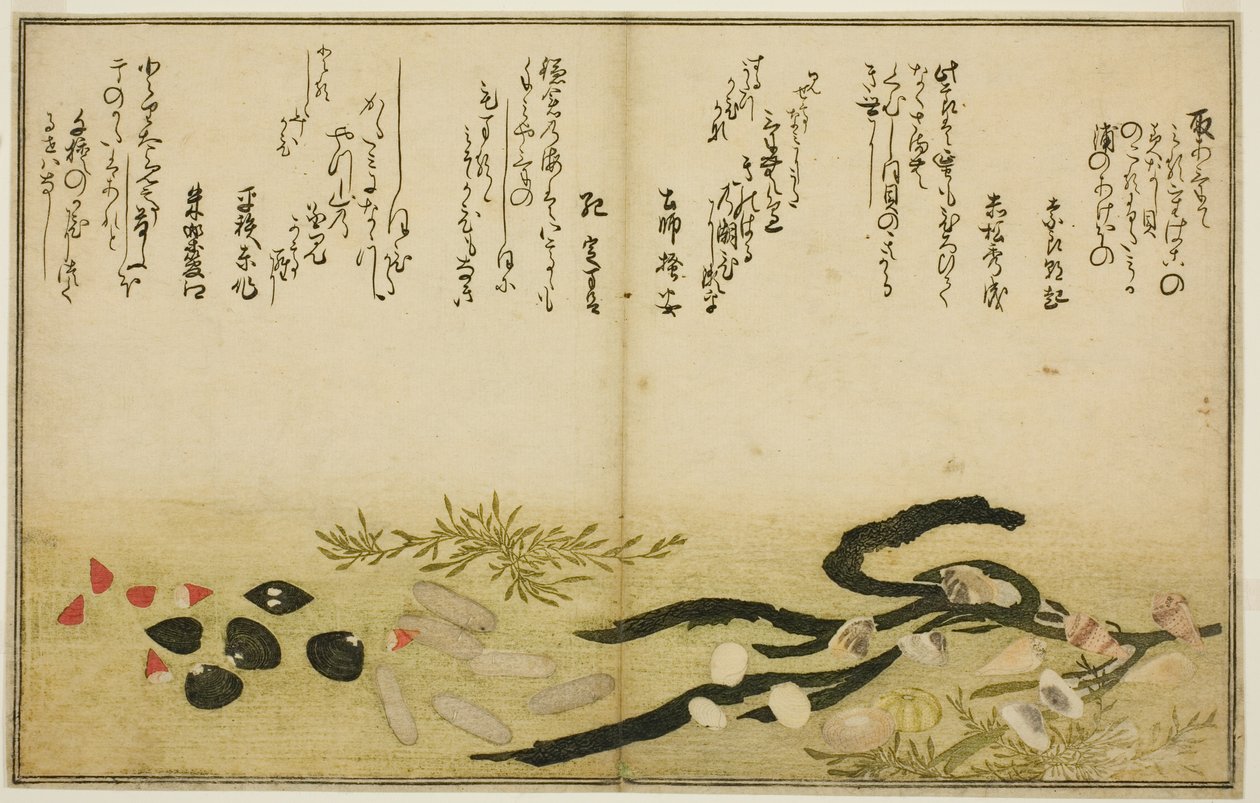 Minashi-gai, shio-gai, katatsu-gai, miso-gai, chijimi-gai, et chigusa-gai, du livre illustré "Cadeaux de la marée descendante (Shiohi no tsuto)" - Kitagawa Utamaro