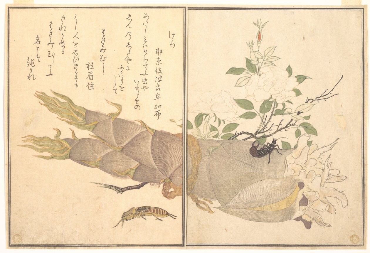 Grillon-taupe (Kera) ; Perce-oreille (Hasami-mushi), tiré du livre d