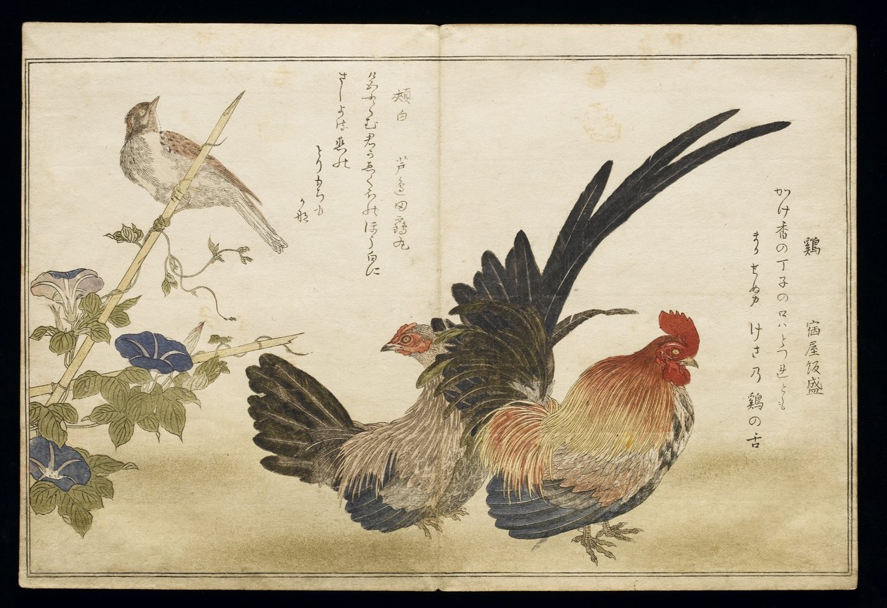 P.332-1946 Vol.1 f.8 Coq et poule à droite avec un bruant à gauche, d