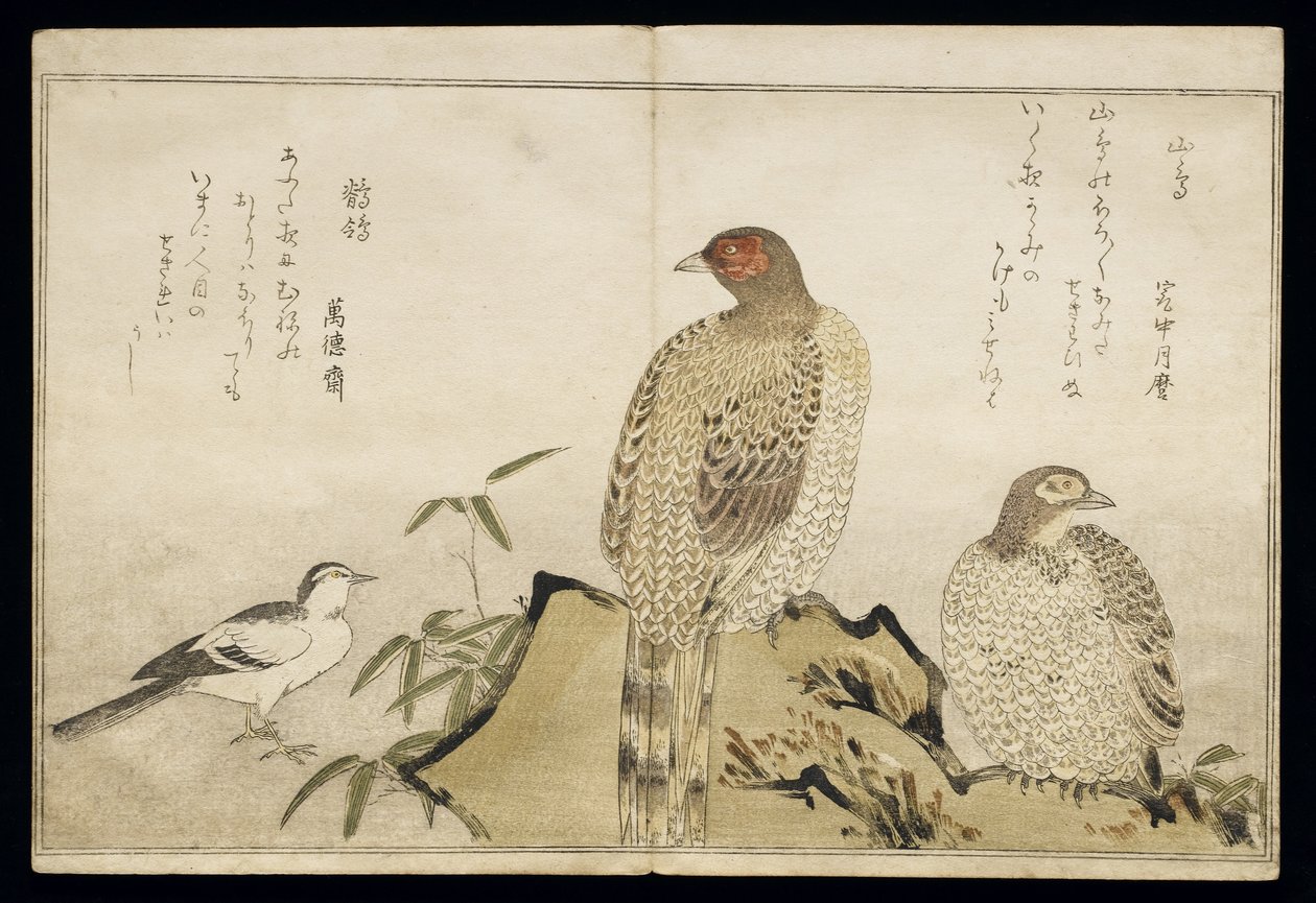 Deux faisans de cuivre et une bergeronnette, d