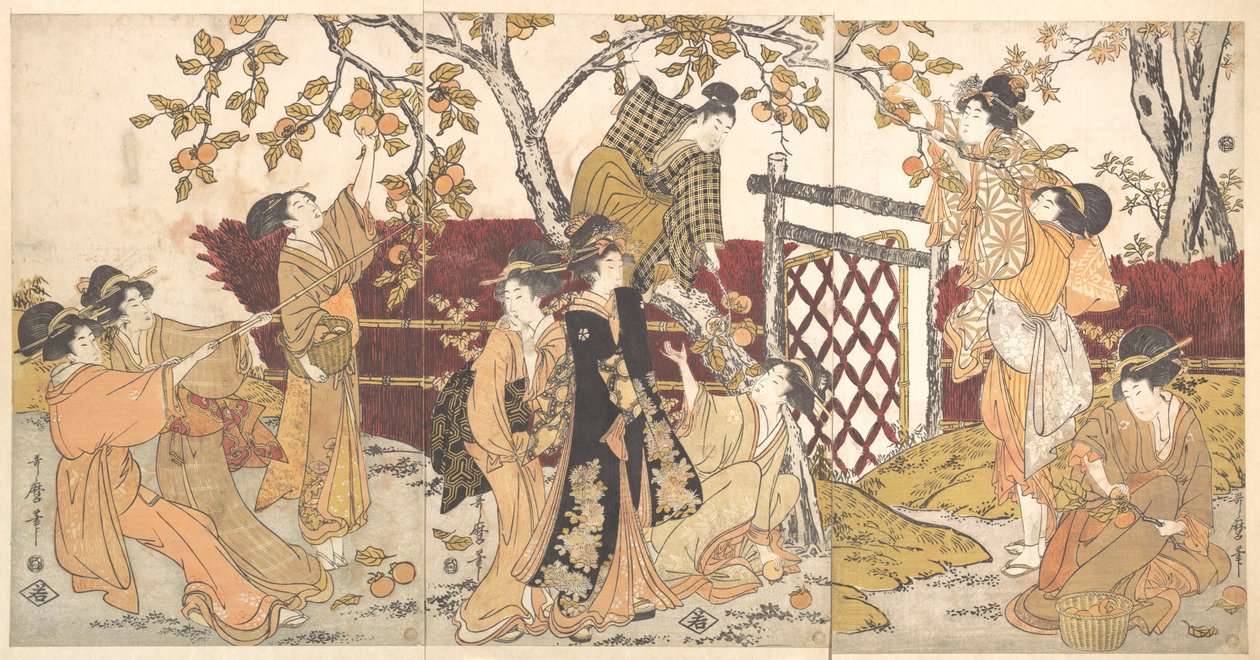 Cueillette de kakis - Kitagawa Utamaro