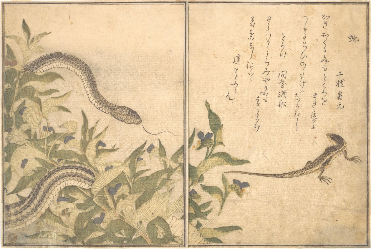 Serpent-rat (Hebi) ; lézard ou scinque (Tokage), du Livre illustré des créatures rampantes (Ehon mushi erami) - Kitagawa Utamaro
