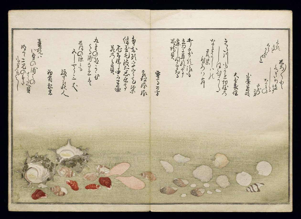 Shiohi no tsuto (Cadeaux de la marée descendante), connu sous le nom de Livre des coquillages, 1789 - Kitagawa Utamaro