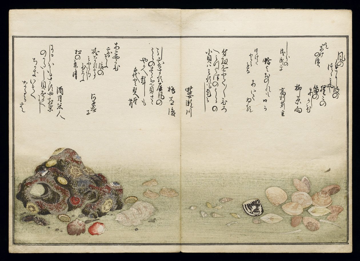 Shiohi no tsuto (Cadeaux de la marée descendante), connu sous le nom de Livre des coquillages, 1789 - Kitagawa Utamaro