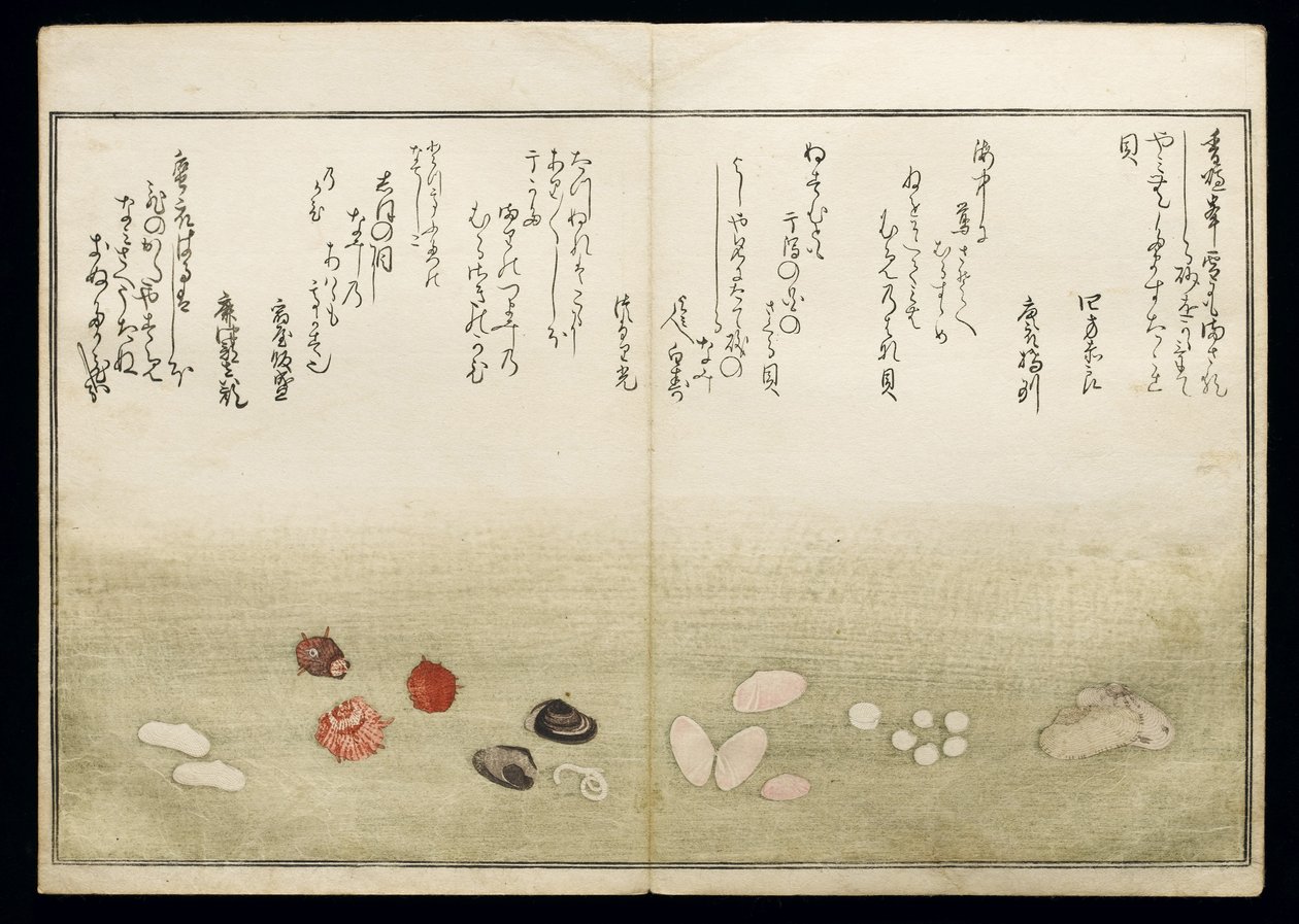 Shiohi no tsuto (Cadeaux de la marée descendante), connu sous le nom de Livre des coquillages, 1789 - Kitagawa Utamaro