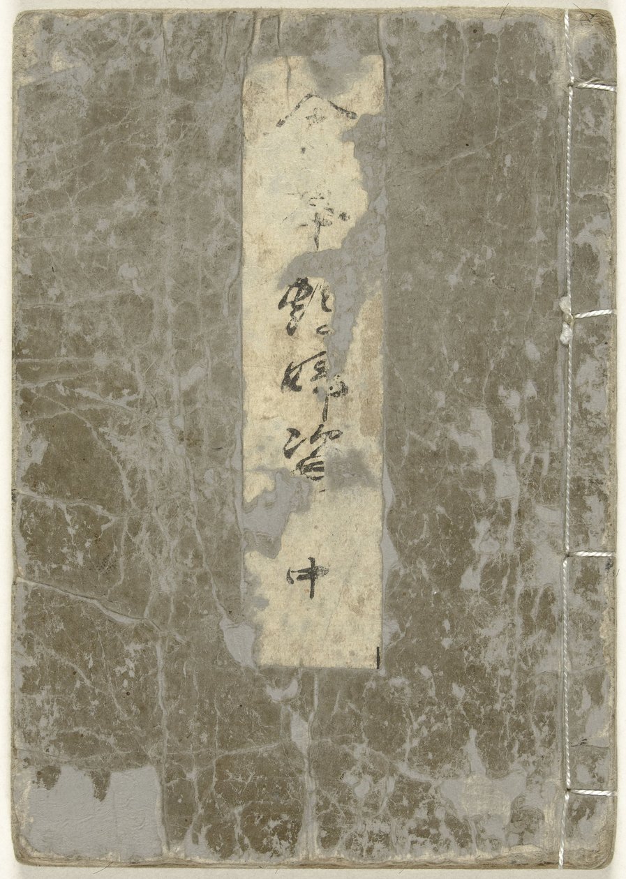 Album Shunga. Livre d