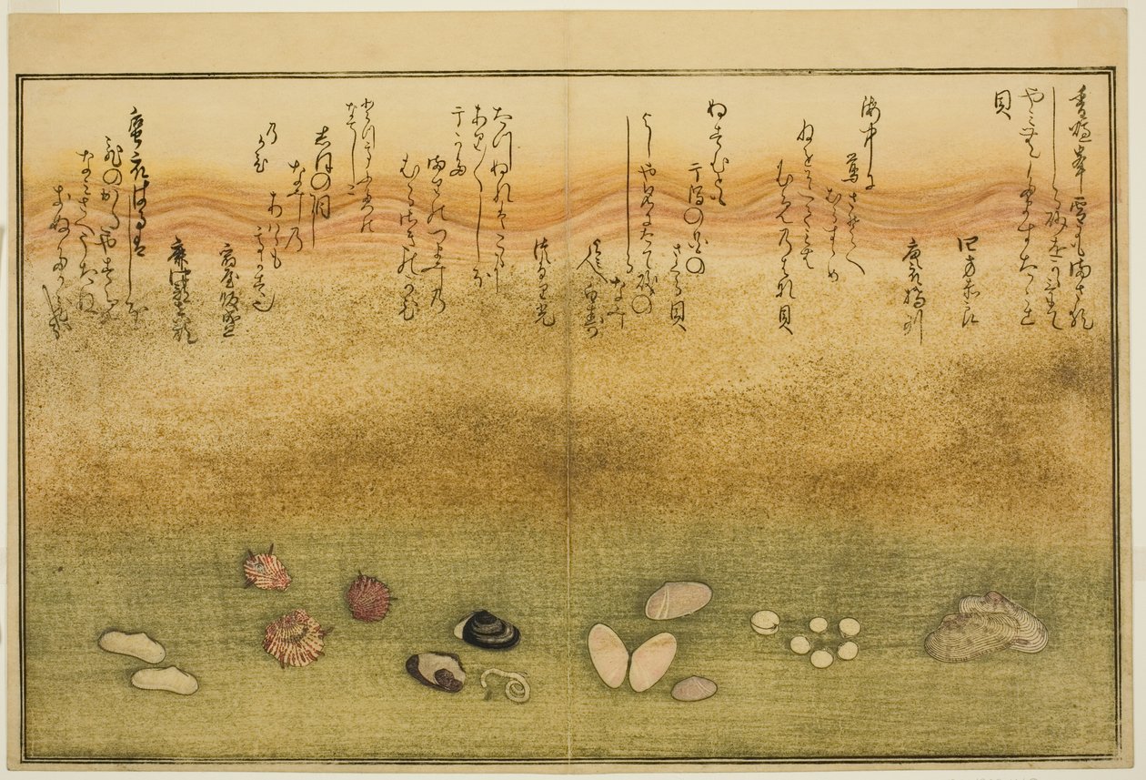 Sudare-gai, hana-gai, sakura-gai, mumeno-gai, nadeshiko-gai, et kinuta-gai, du livre illustré "Cadeaux de la marée descendante" - Kitagawa Utamaro