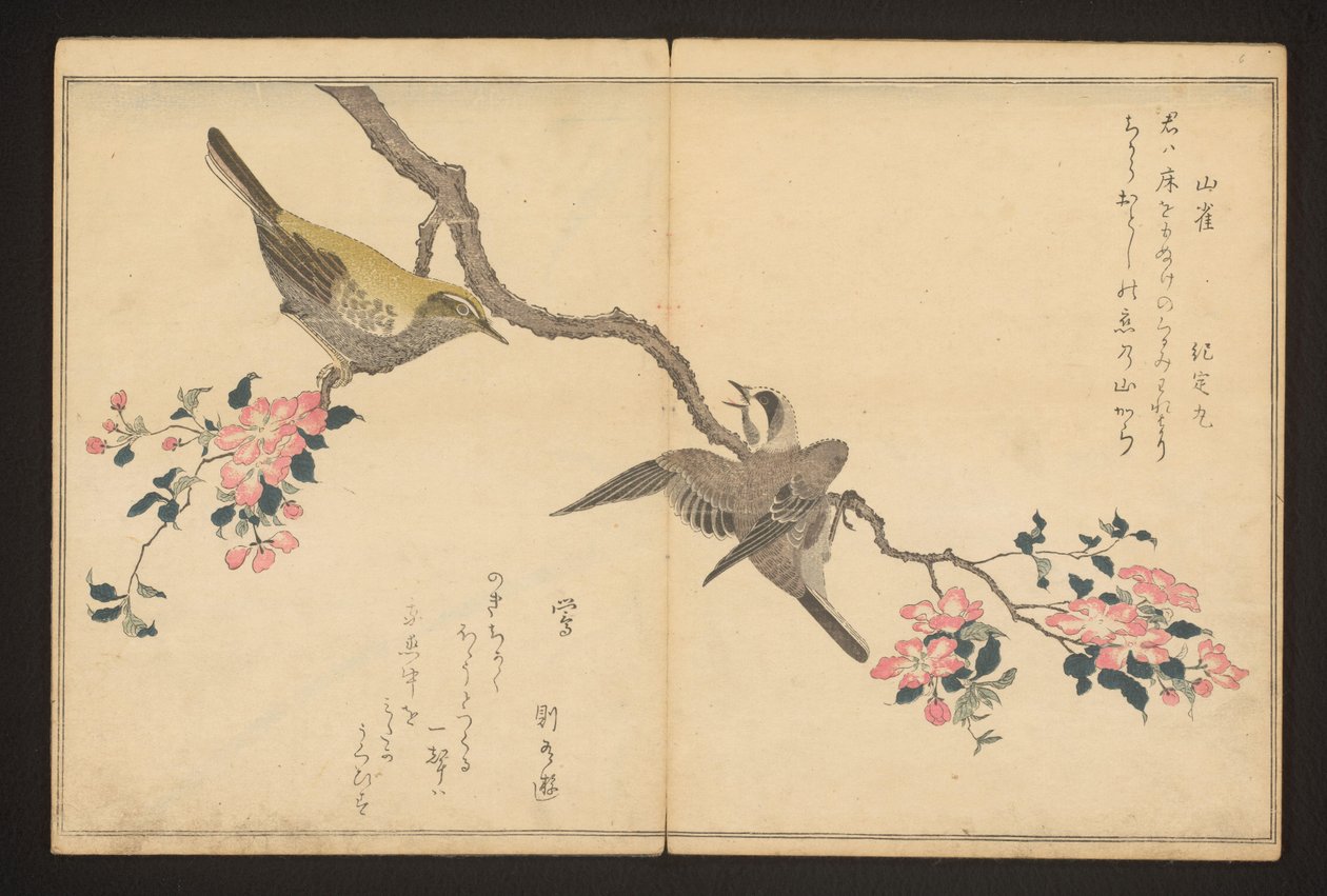Mésange et bouscarle - Kitagawa Utamaro