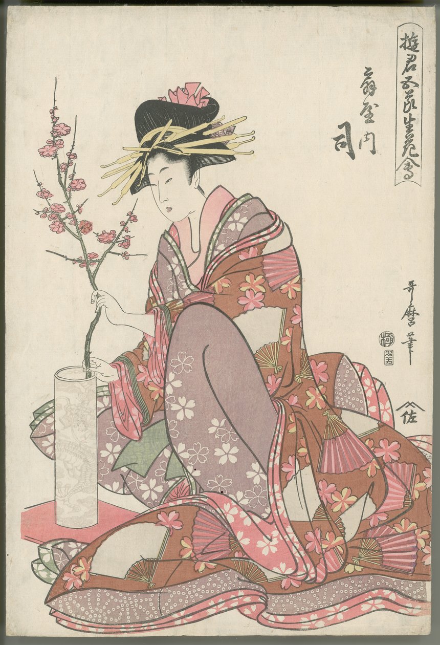 Tsukasa d