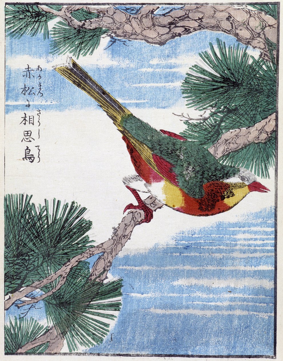Oiseau sur un arbre. Dessin japonais par Kitao Kosuisai - Kitao Shigemasa