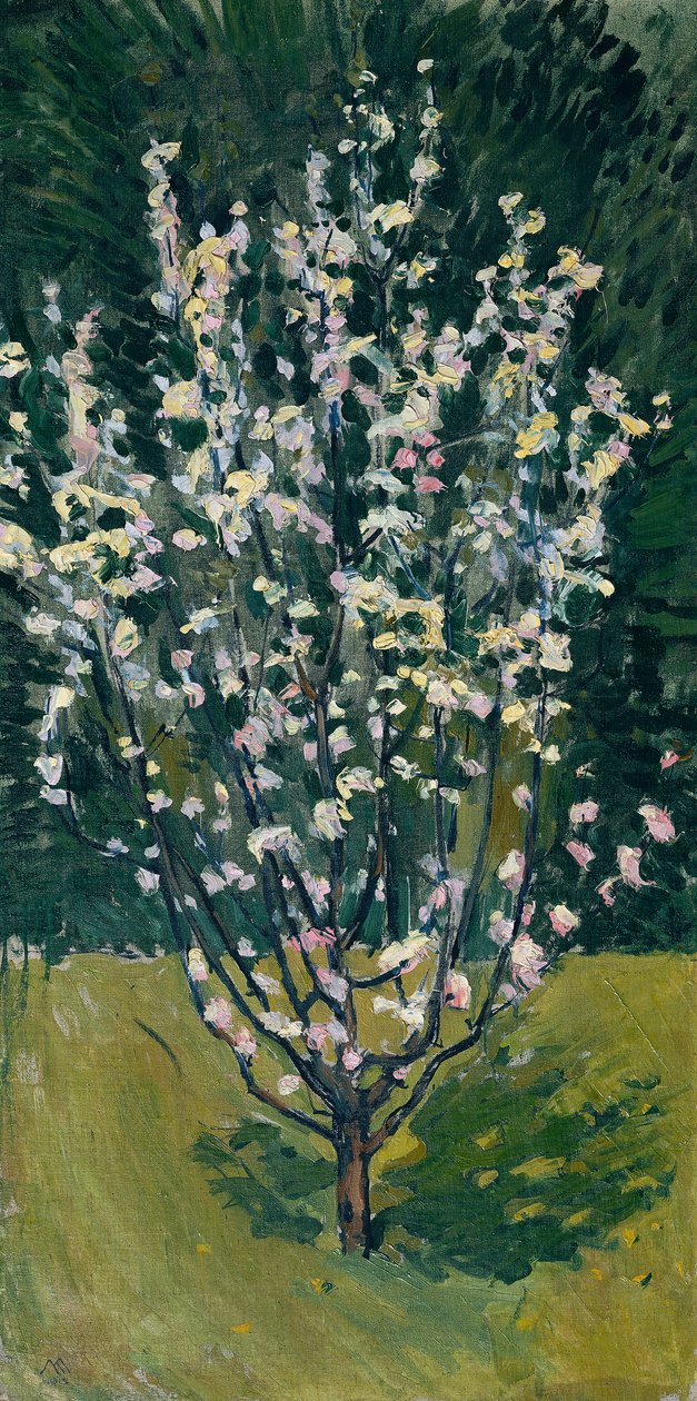 Petit arbre en fleurs - Koloman Moser