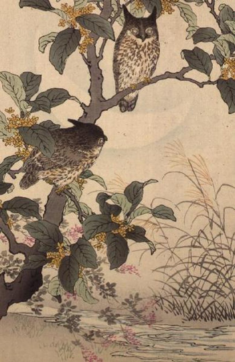 Deux hiboux dans un arbre de Bunrei Kacho Gafu par Kono Bairei (1844-95), pub. 1885 - Kono Bairei