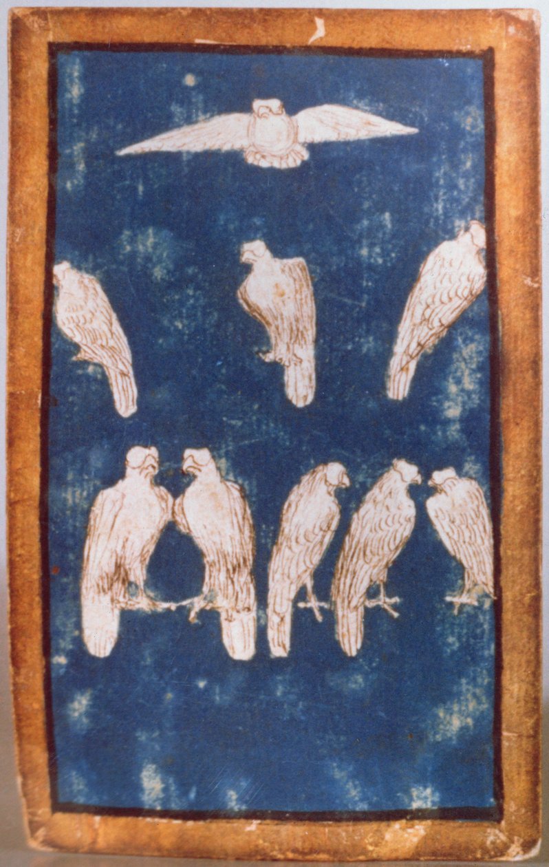 Oiseaux de proie en vol et sur des perchoirs, l