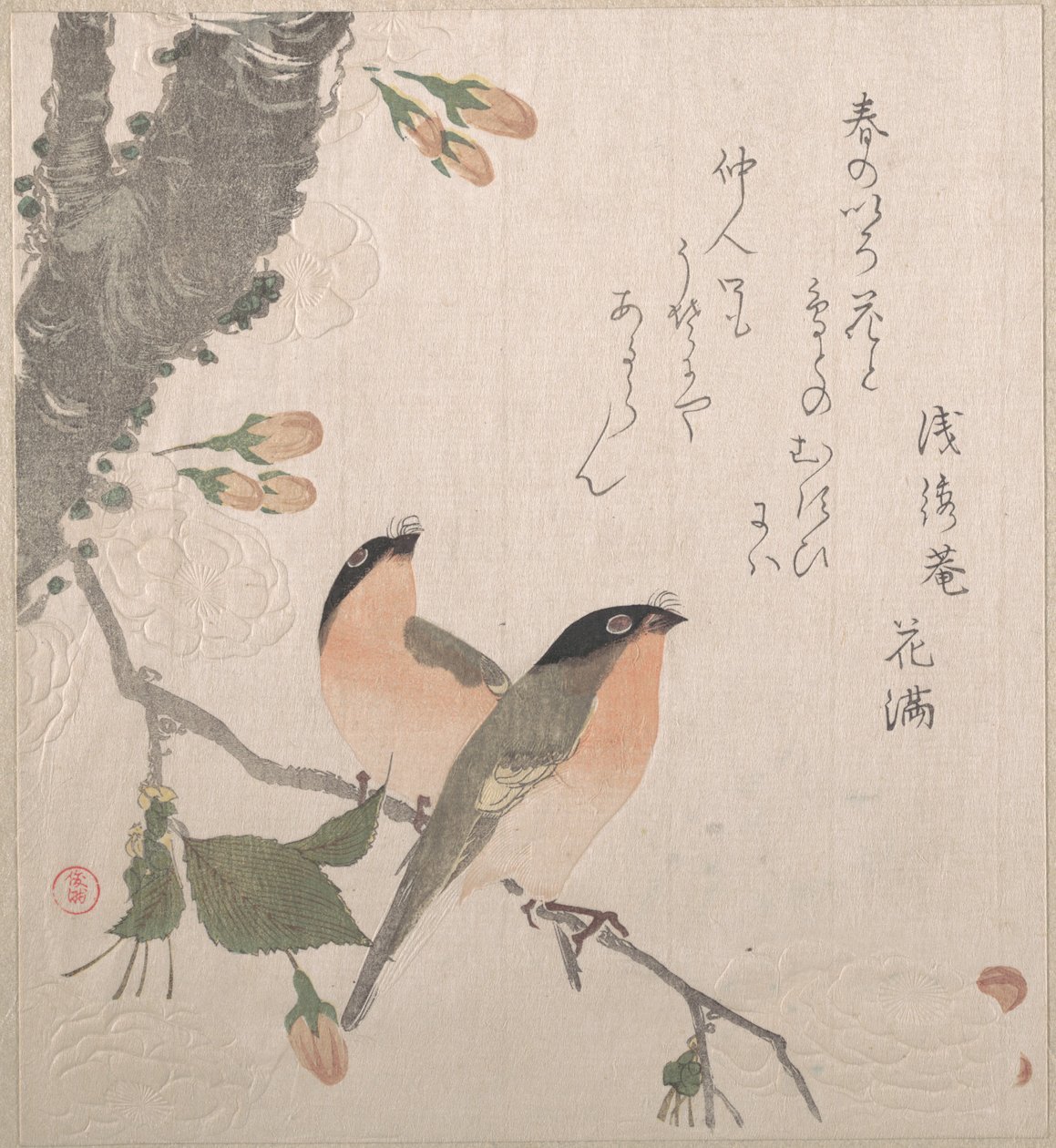 Bouvreuils et fleurs de cerisier - Kubo Shunman