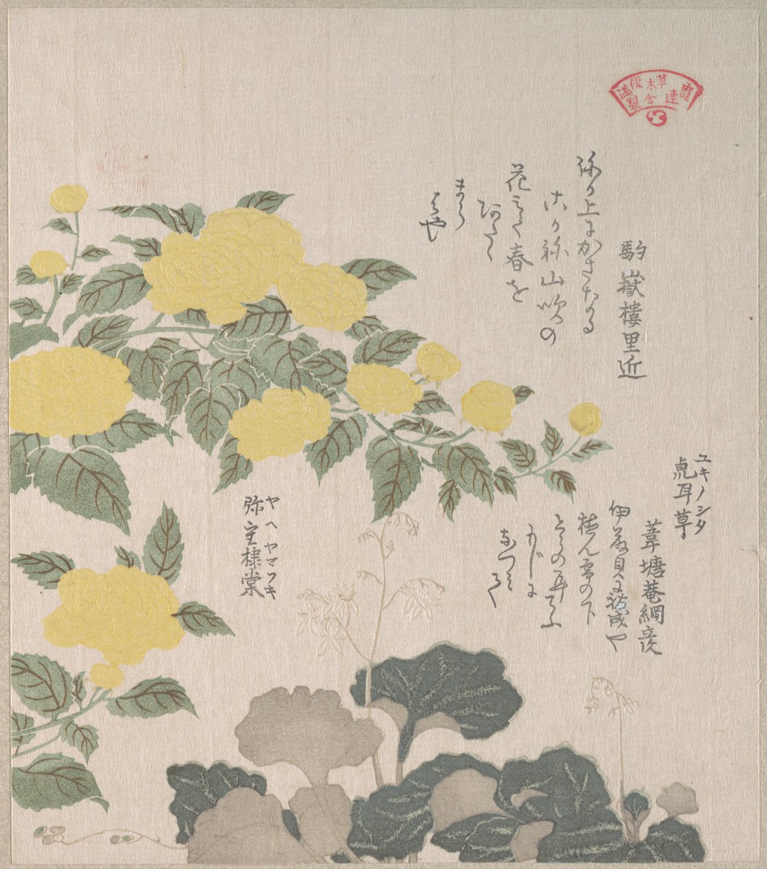 Corchorus (ou « rose jaune ») et saxifrage rampante - Kubo Shunman