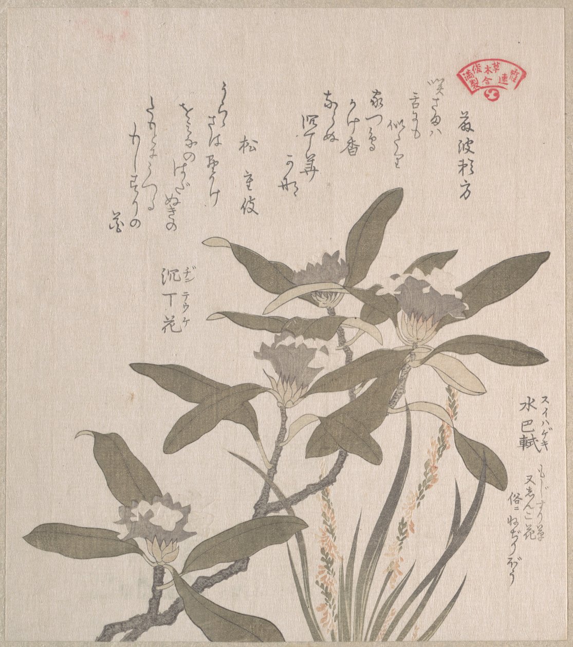 Daphne odora et Mojisuri-so - Kubo Shunman
