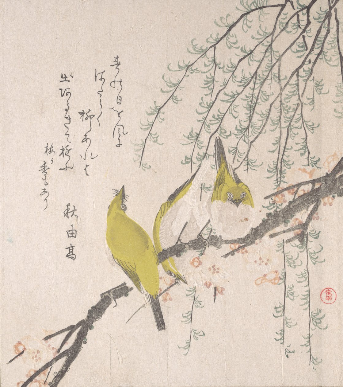 Mésanges japonaises avec prunier et saule..., vers 1810 - Kubo Shunman