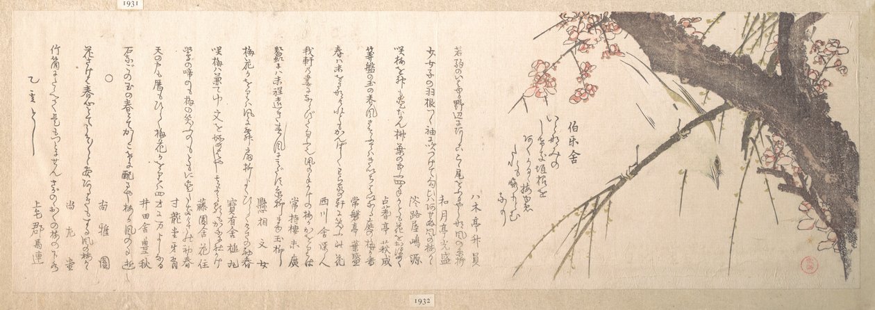 Fleur de prunier - Kubo Shunman