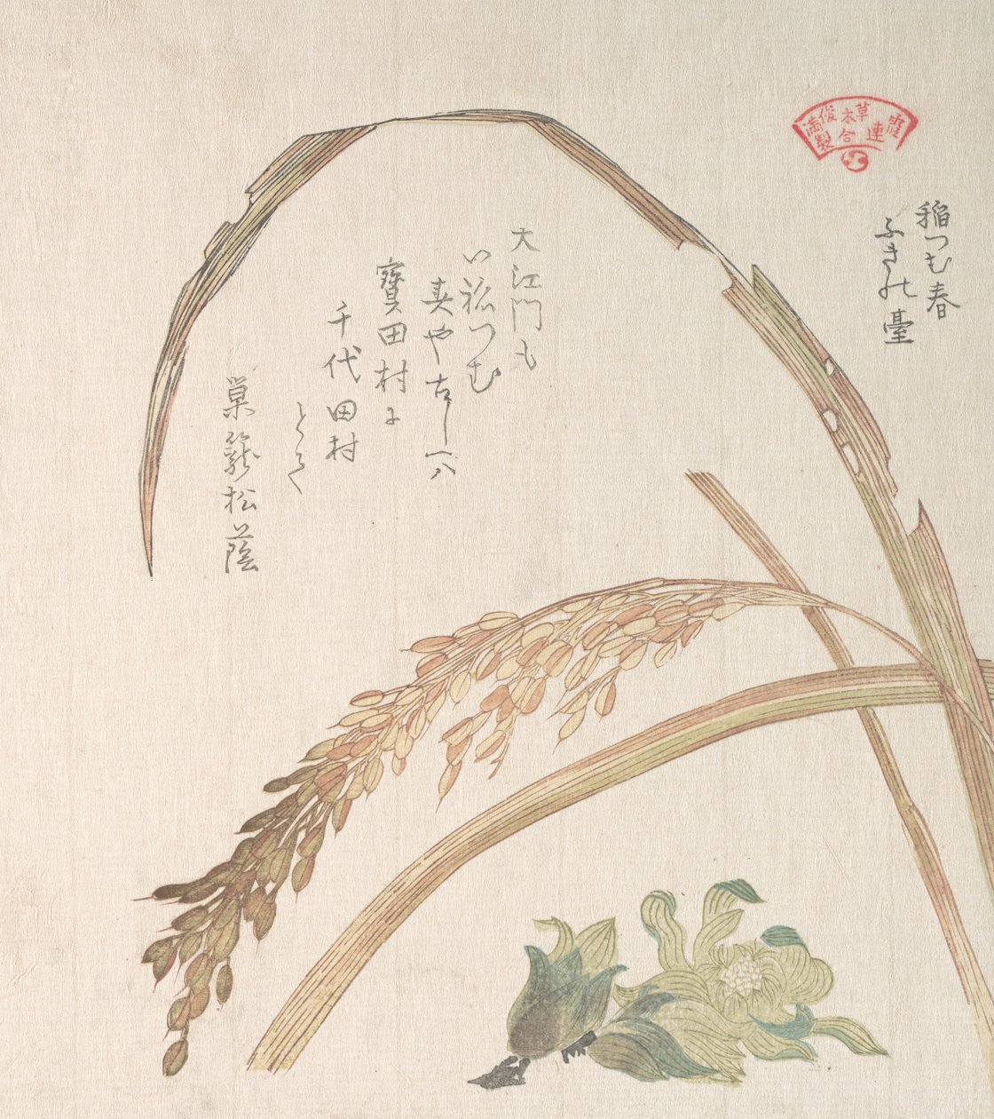 Plant de riz et pétasites - Kubo Shunman