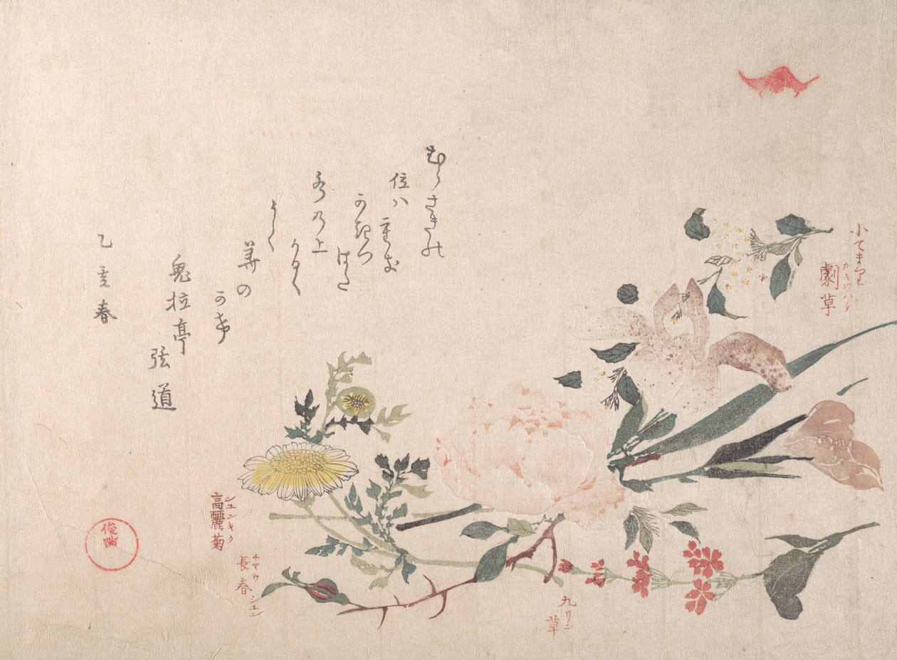 Rose, Iris, Primevère et Marguerite, 1815 - Kubo Shunman