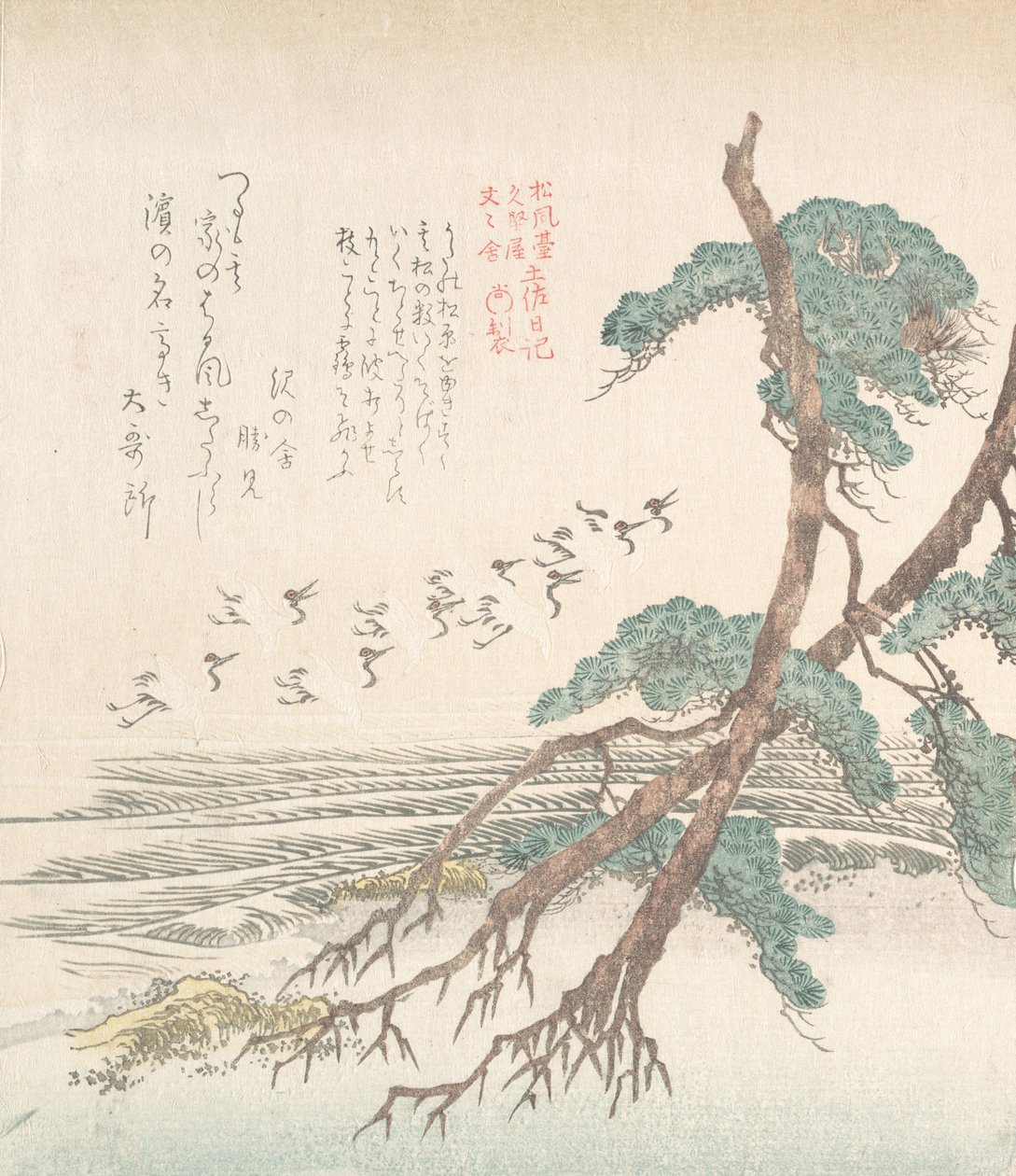 Paysage côtier avec pins et grues volantes, 19e siècle - Kubo Shunman