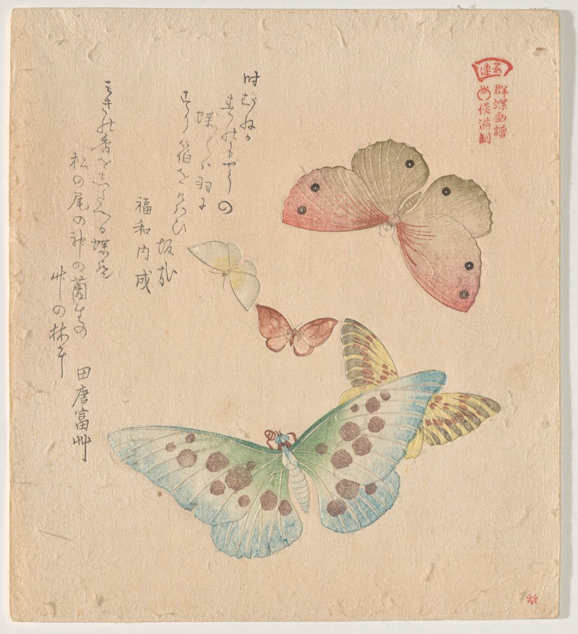 Le Manuel de peinture du vol de papillons (Guncho? Gafu) - Kubo Shunman