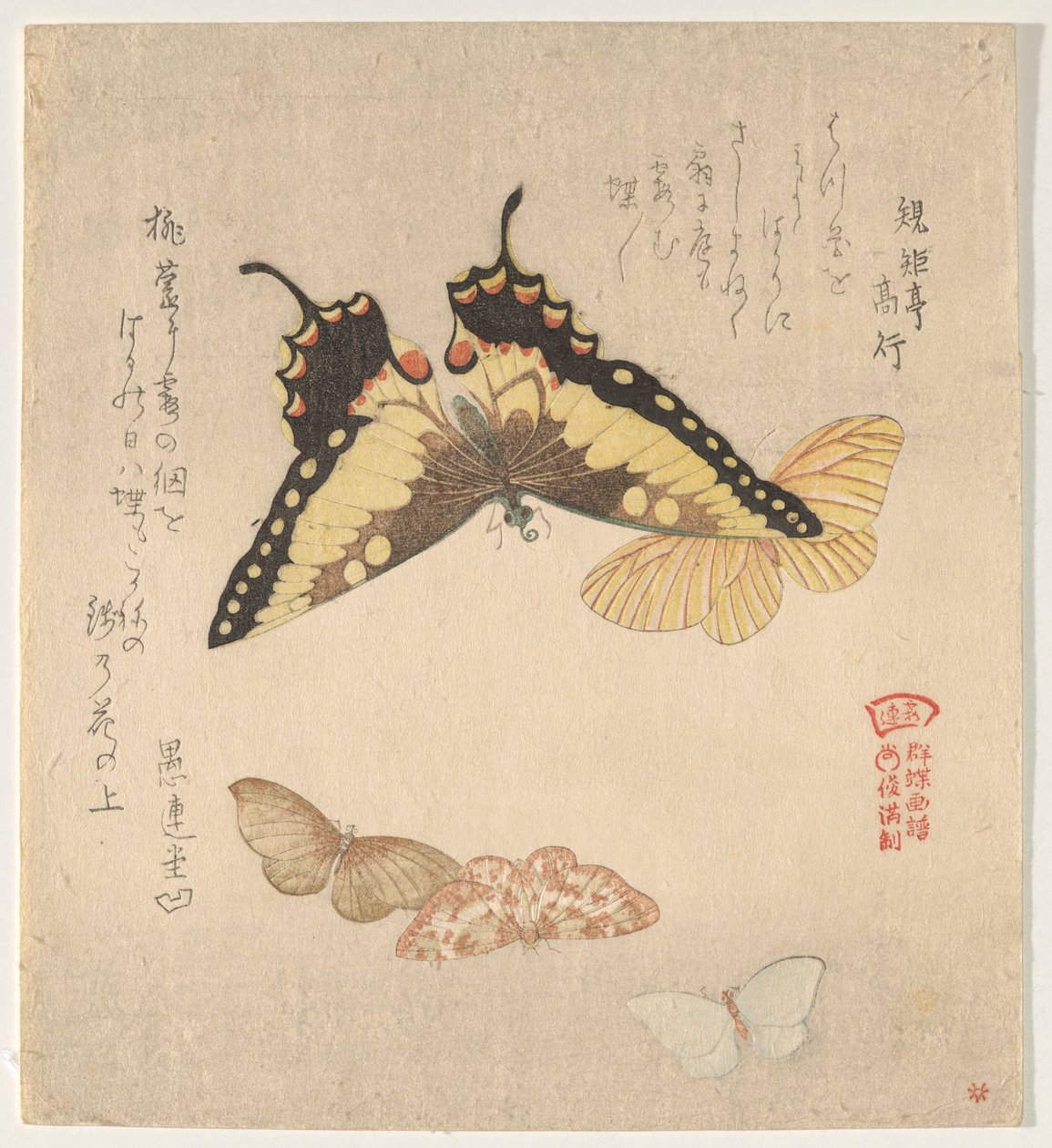 Le Manuel de peinture du vol de papillons (Guncho? Gafu) - Kubo Shunman