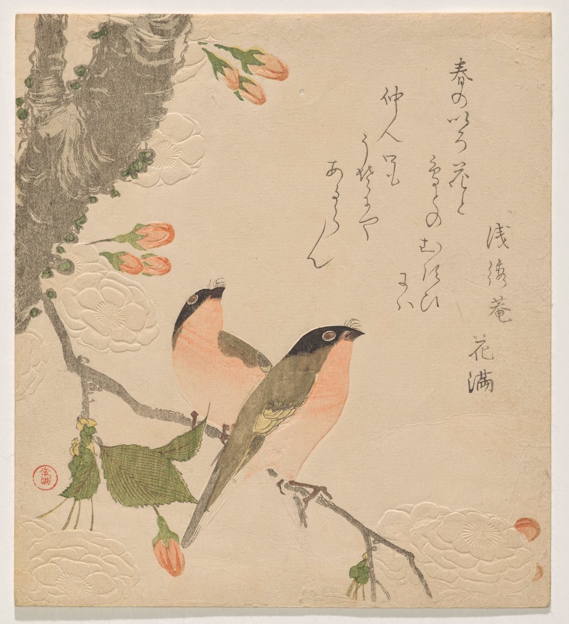 Deux bouvreuils sur un cerisier à double pétales (Uso ni Yae-zakura) - Kubo Shunman