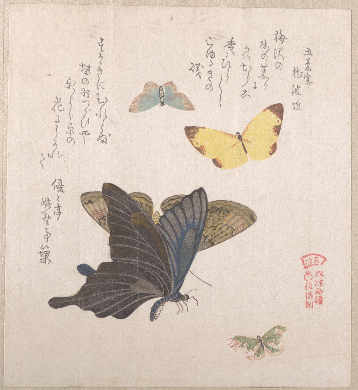 Divers papillons de nuit et papillons - Kubo Shunman