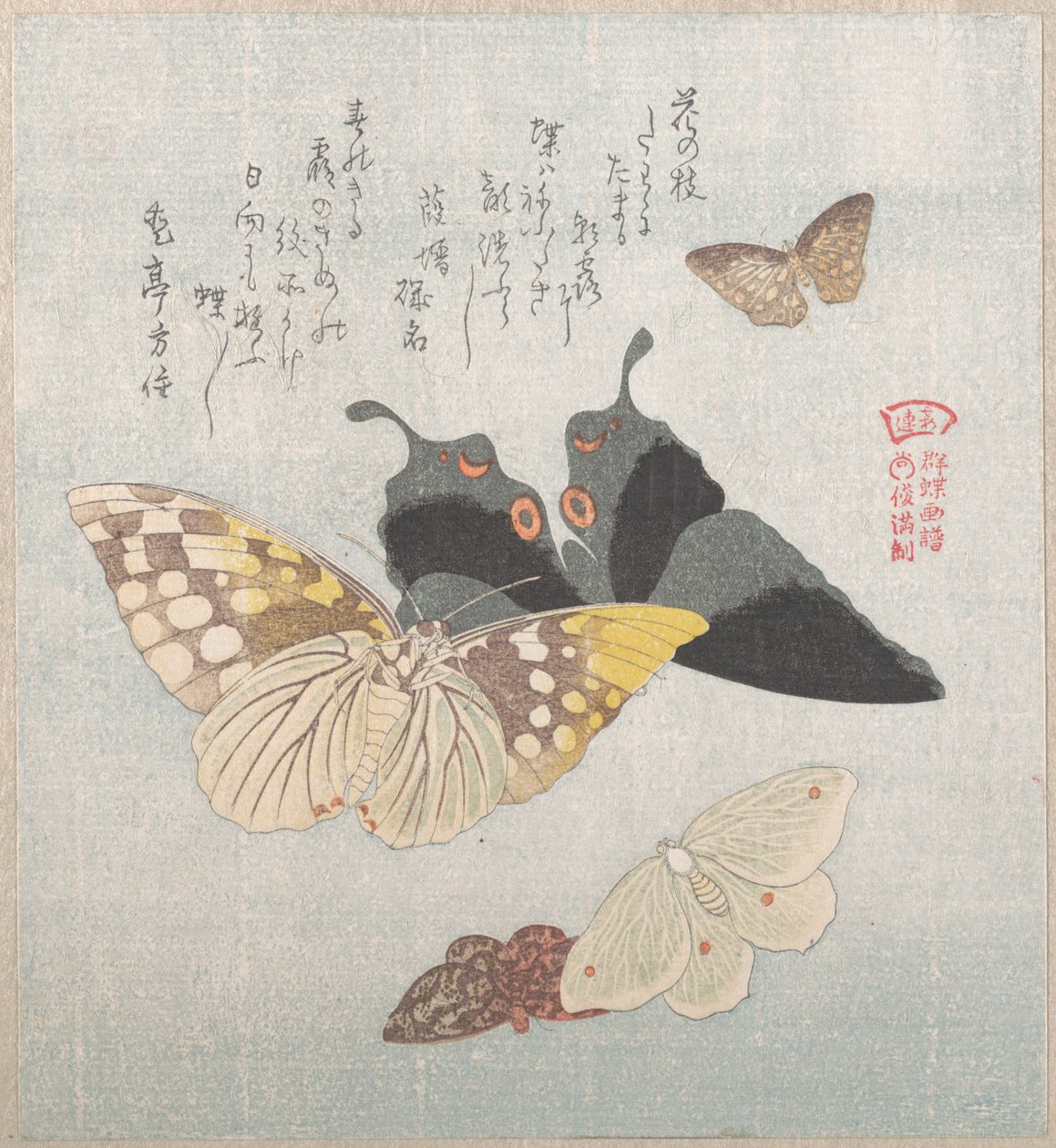 Divers papillons de nuit et papillons - Kubo Shunman