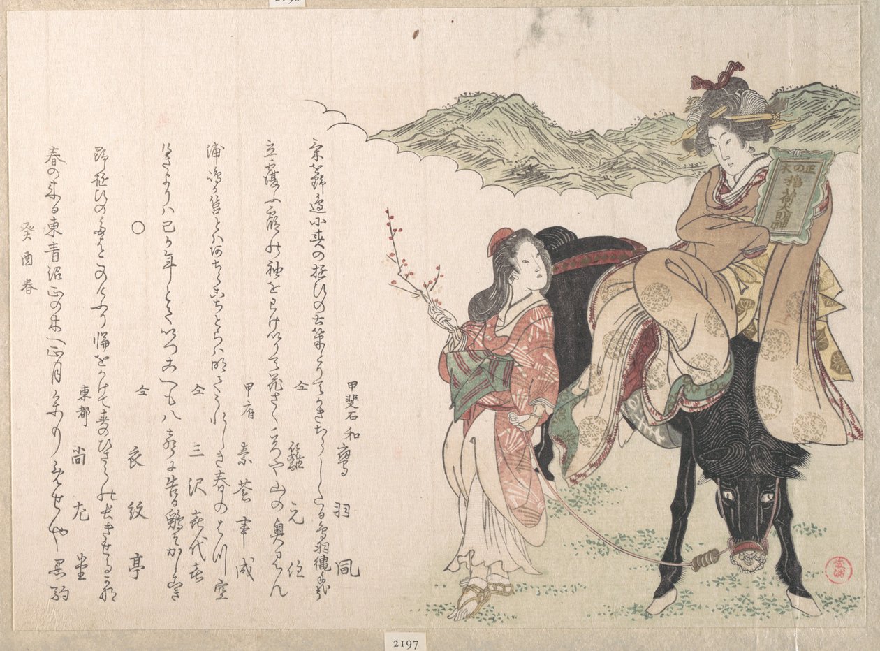 Jeune femme sur le dos d