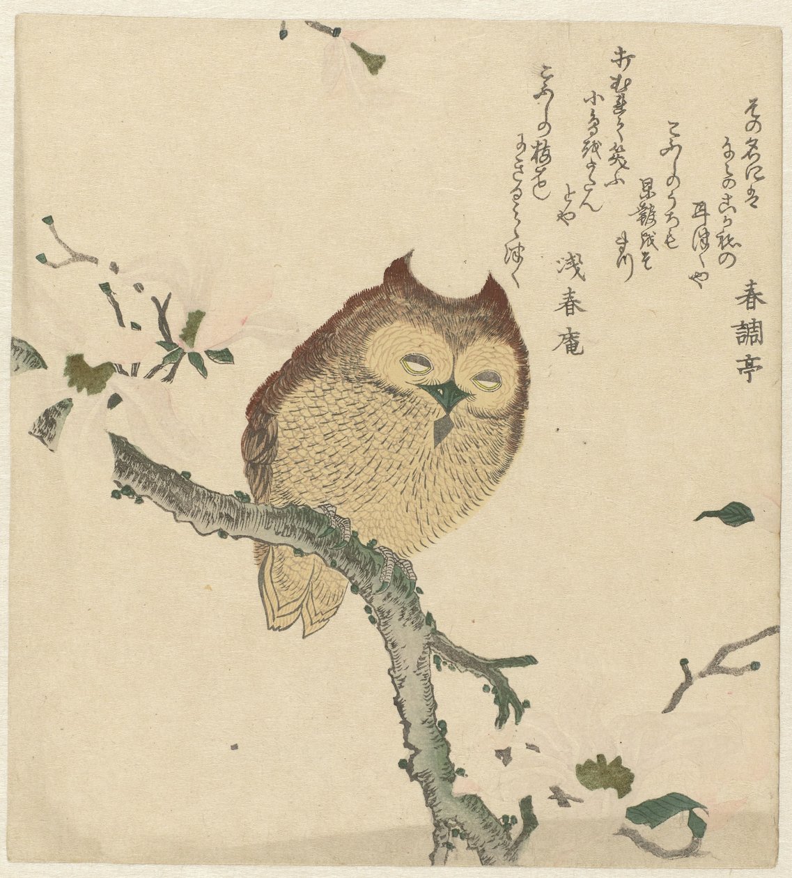 Hibou sur une branche de magnolia - Kubota Shunman