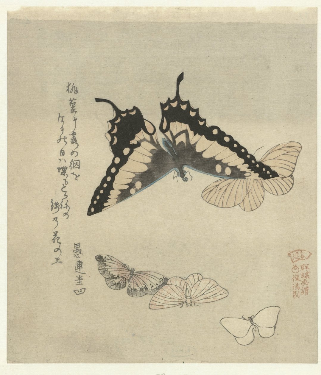 Cinq papillons - Kubota Shunman