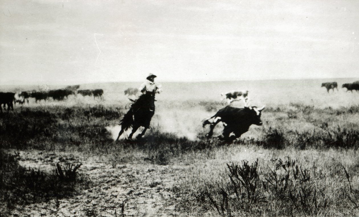 Cow-boy à cheval attrapant un veau - L.A. Huffman