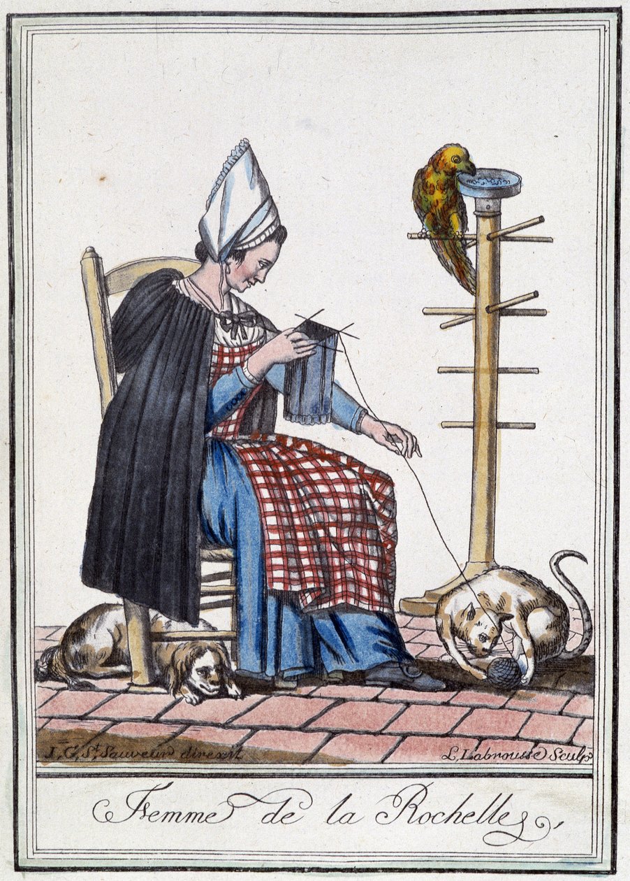 Femme de La Rochelle tricotant avec un chien, un perroquet et un chat jouant avec la pelote de laine - L.F. Labrousse
