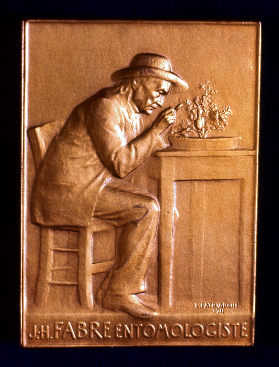 Jean Henri Fabre, entomologiste français - L. Patriarche