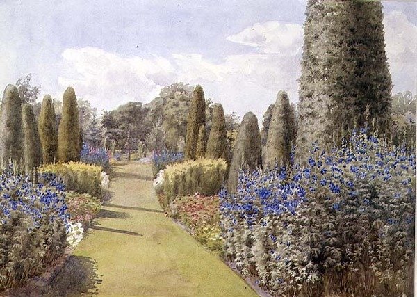 La bordure herbacée - Lady Alice Willoughby
