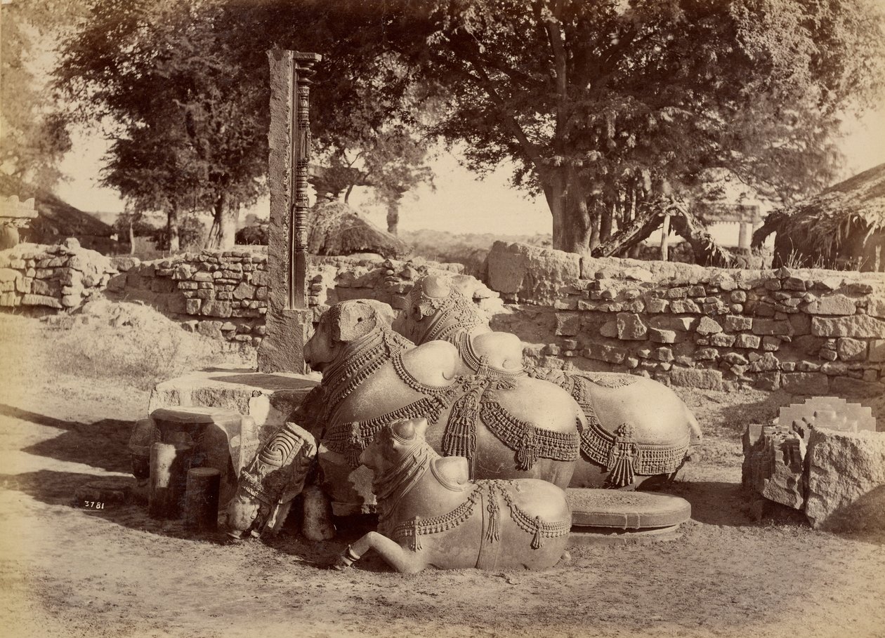 Bulles sacrées dans le fort de Warungal - Lala Deen Dayal