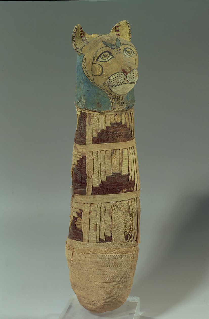 Chat momifié - Late Period Egyptian