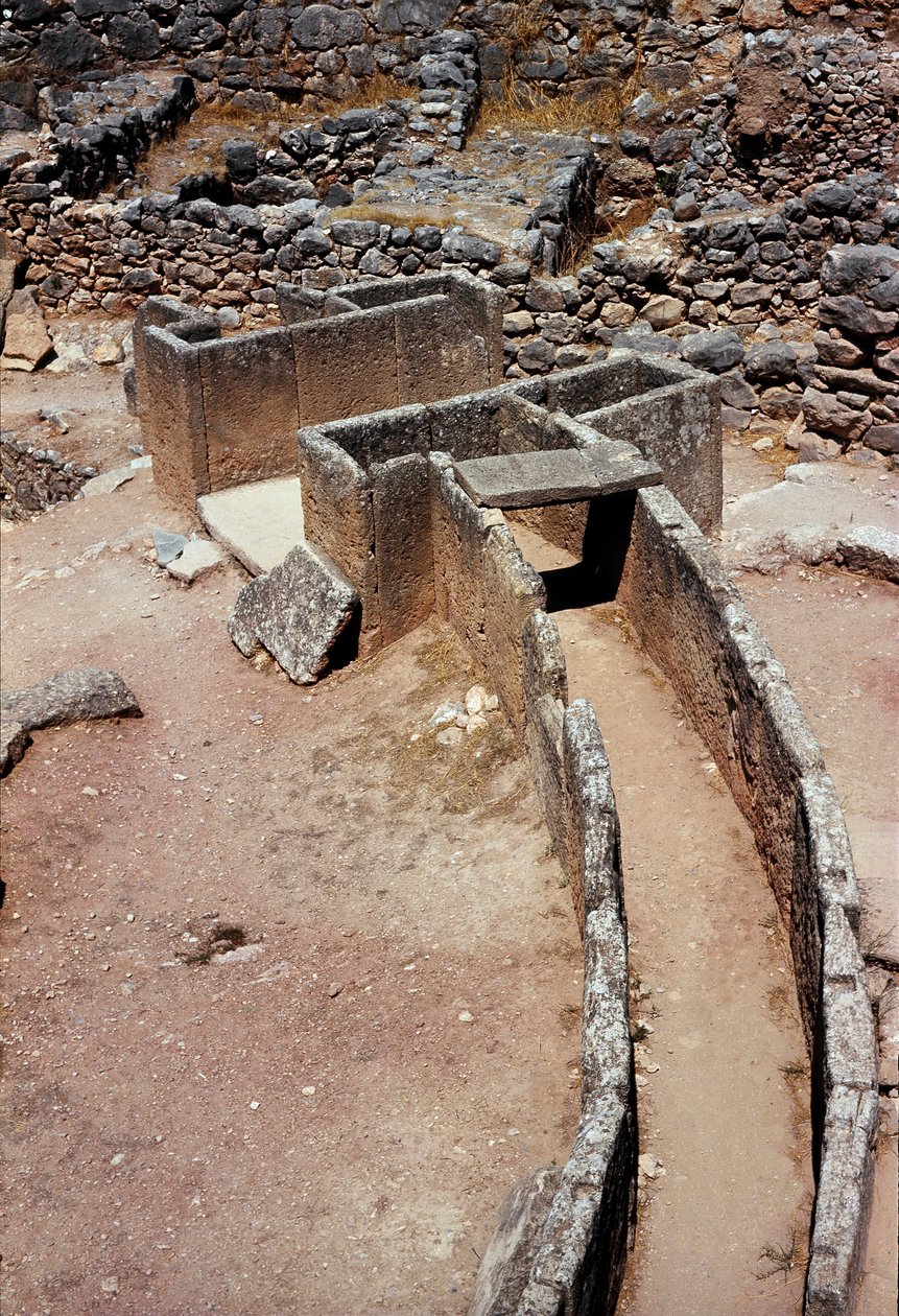 Vue aérienne du premier cercle de tombes (cimetière royal) découvert par l