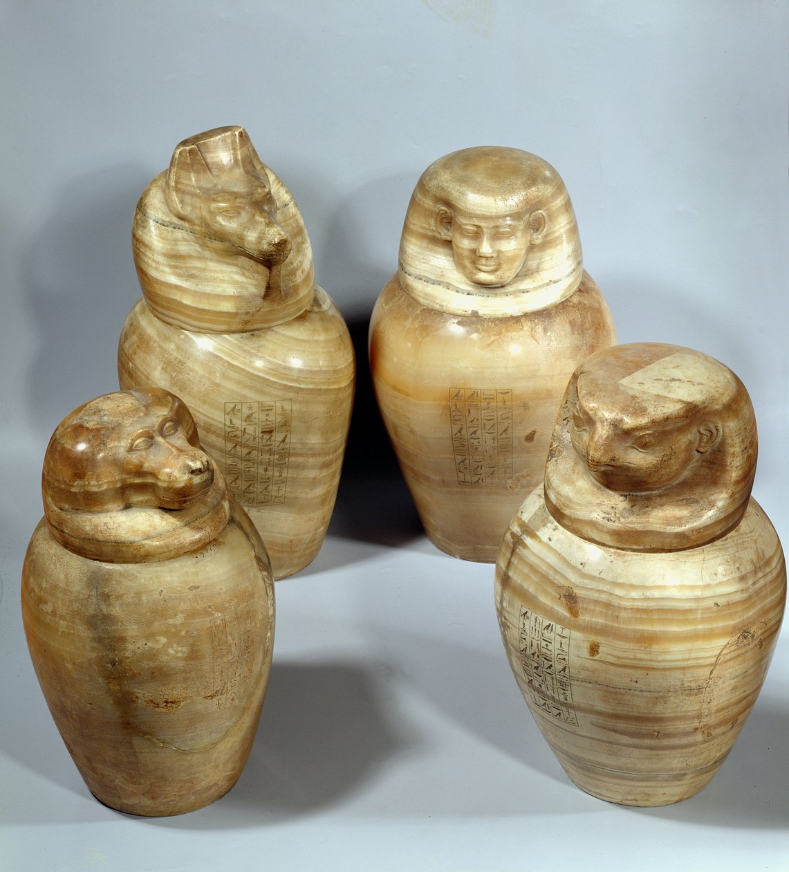 Vases canopes d