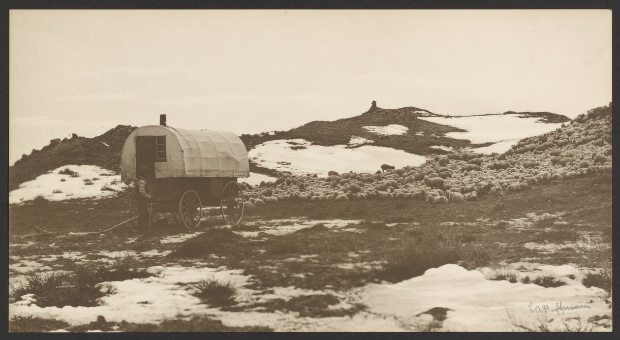 [Drifter, Sheep Wagon and Band on Winter Bedground] (Conducteur, charrette à moutons et orchestre sur le terrain de camping d