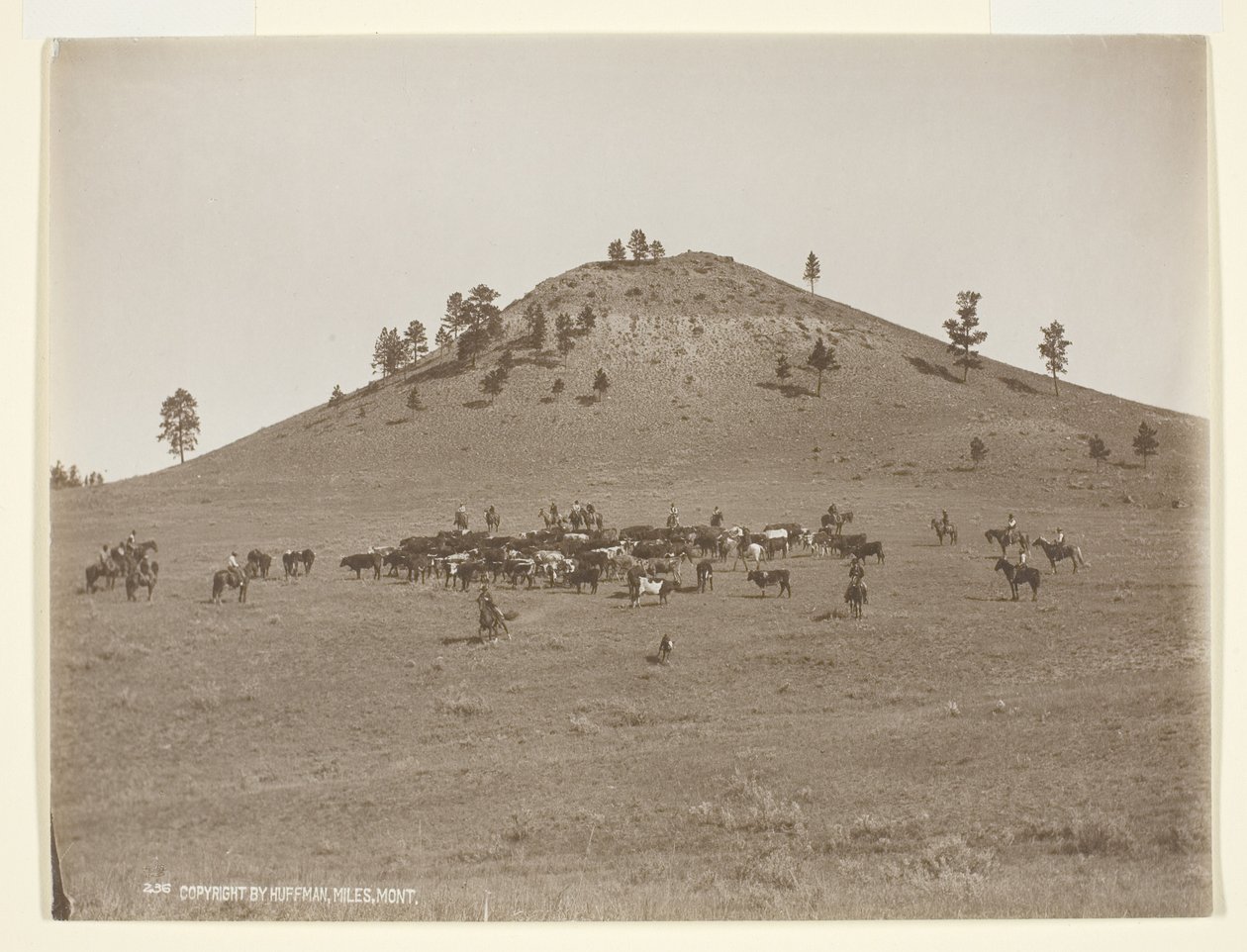 Travailler un petit groupe dans les collines - Laton Alton Huffman