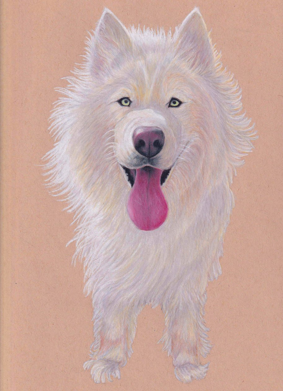 Snowky, 2021 (crayon de couleur sur papier teinté) - Laurie Michaels