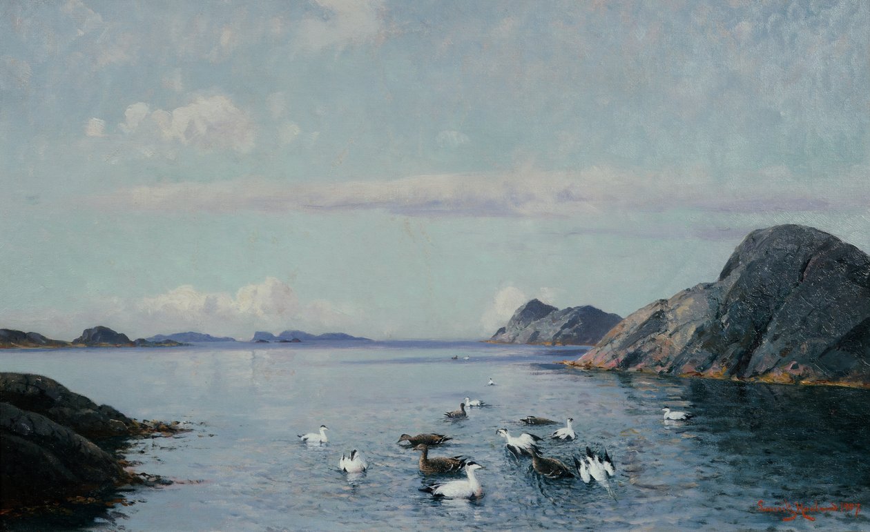 Côte sud avec oiseaux de mer - Lauritz Haaland