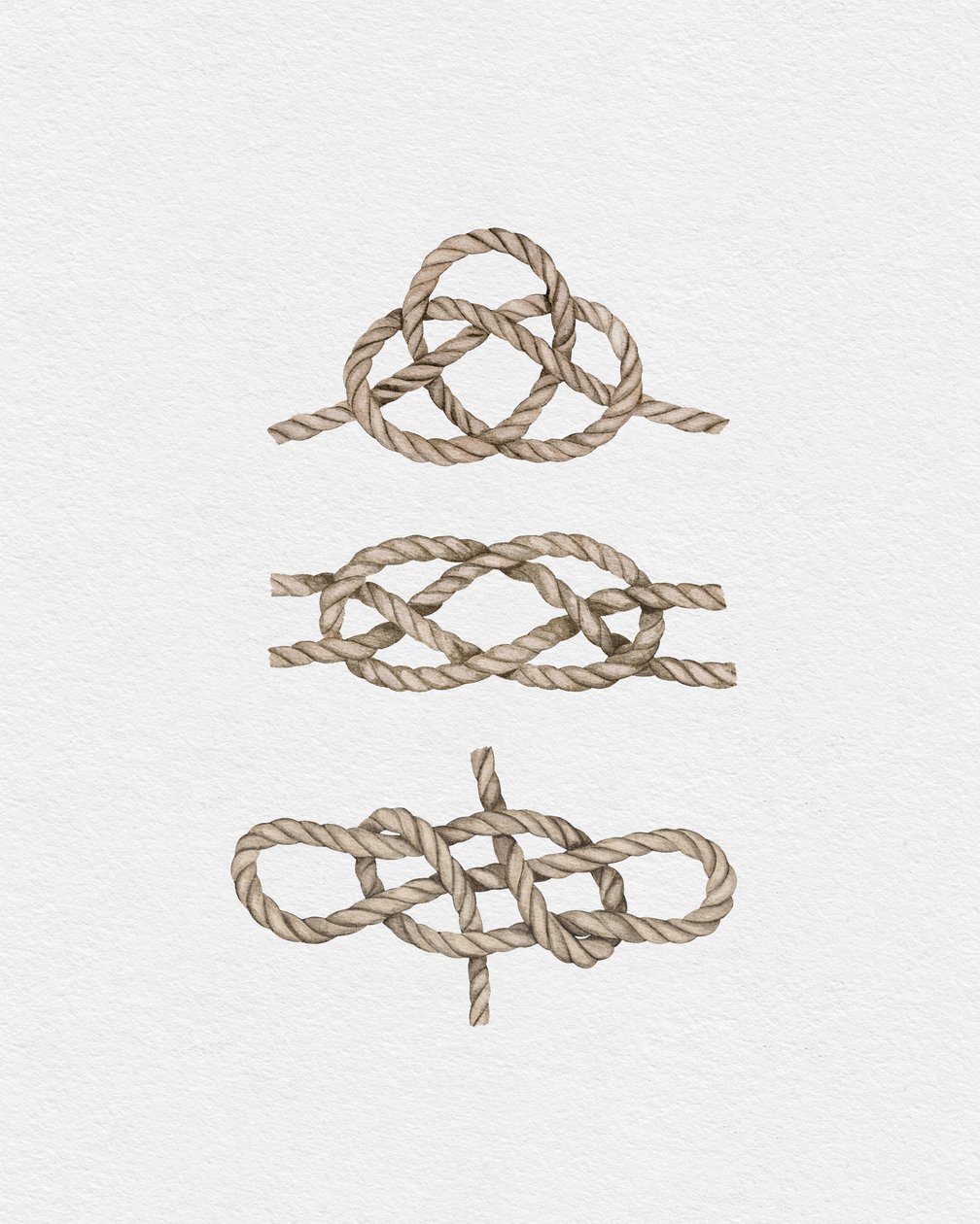 Nœuds de marin, vers 2019 - Leah Straatsma