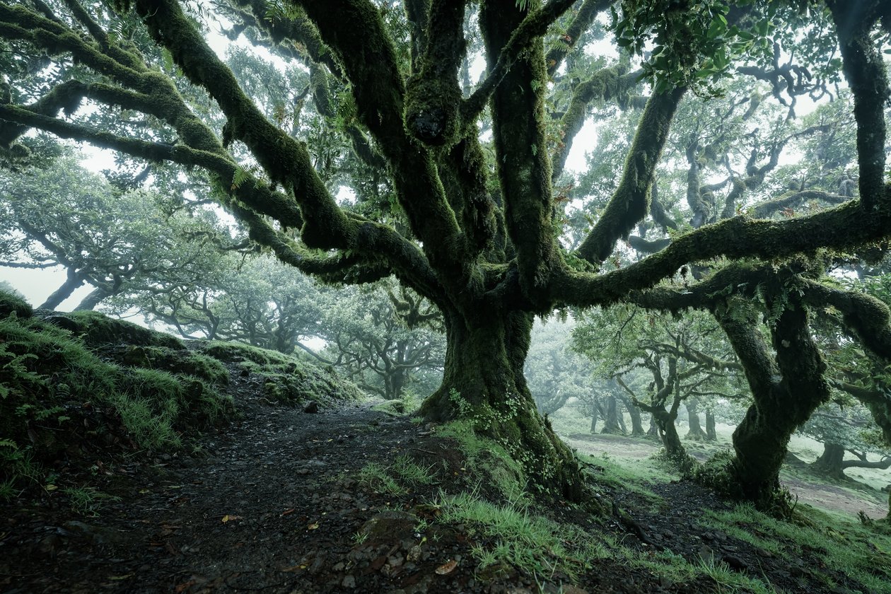 Terre oubliée II, 2025 (photo) - Lee Cooper