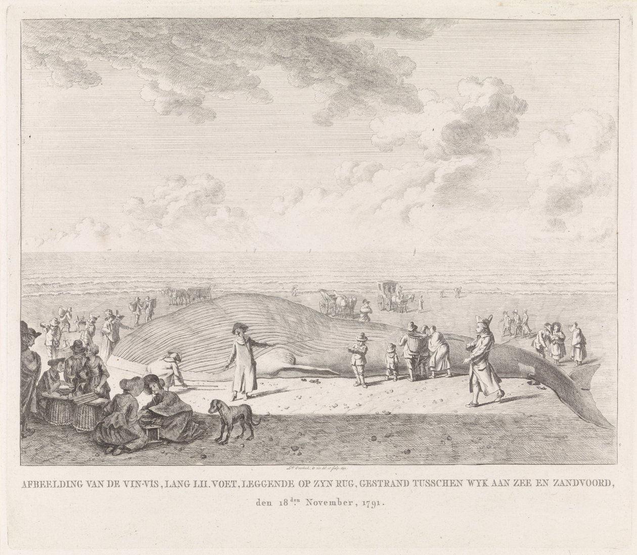 Baleine échouée sur la plage de Zandvoort (Afbeelding van de Vin-Vis gestrand tusschen Wyk aan Zee en Zandvoord, den 18den november, 1791) - Leendert Overbeek